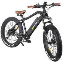 2020 New Fat Tire Mountain Electric Bike with Motor 48V 500W